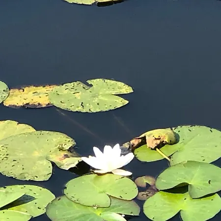 Duofamilienvilla Сasa de vacaciones Stramproy